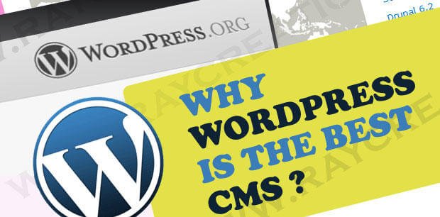 What Makes WordPress Different Than Other Cms Platforms