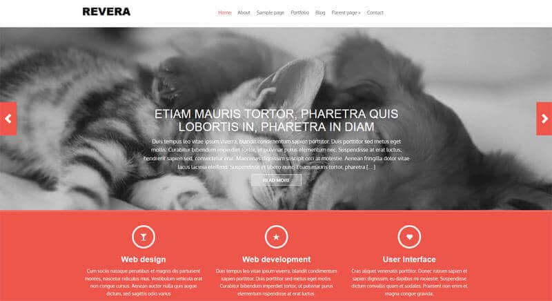 Top 10 WordPress Themes Available For Free 9-Revera
