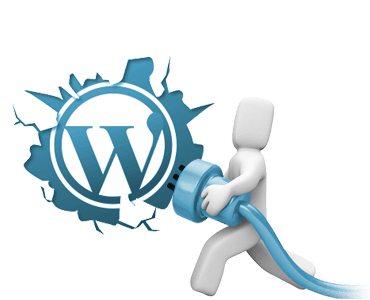 WordPress Plugin Types
