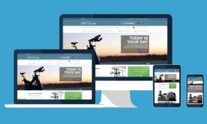 10 Steps to Become a WordPress Web Design Expert