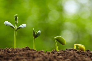 How To Grow An Email List Using WordPress And Social Media