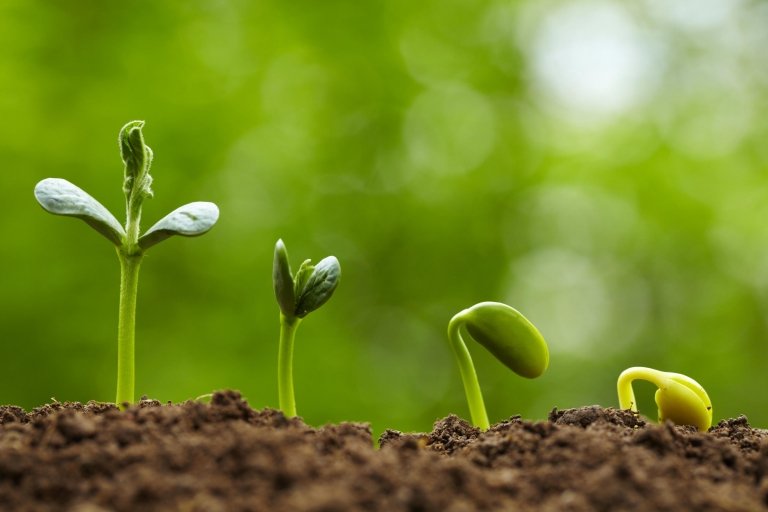 How To Grow An Email List Using WordPress And Social Media