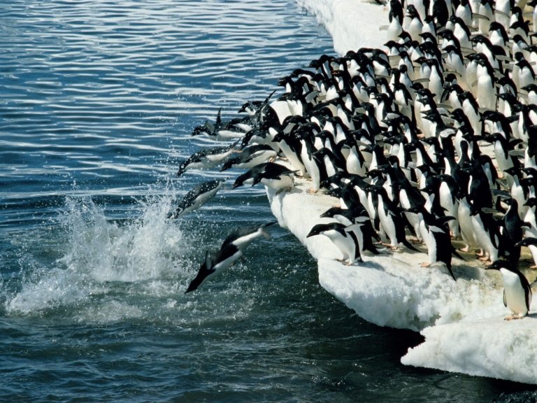 5 Tips For Migrating WordPress Website To A Better Host