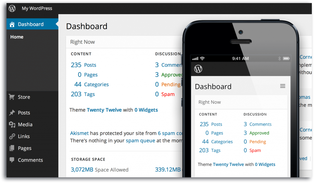 Content Management System - WordPress is The King 8 Reasons