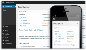 WordPress:  The King Of Content Management System