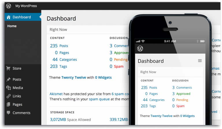 WordPress:  The King Of Content Management System