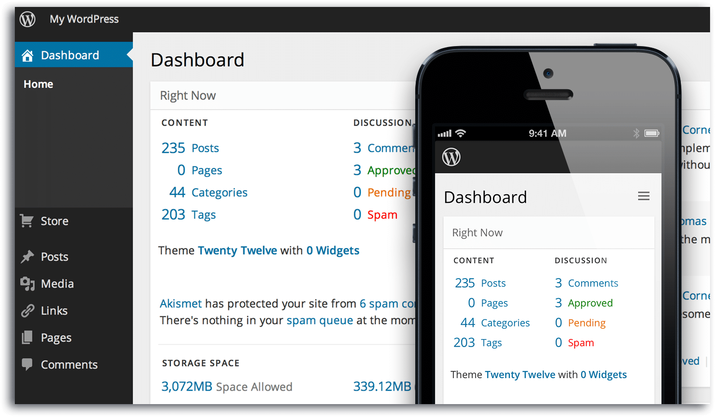 WordPress:  The King Of Content Management System