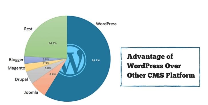 Top 5 Advantage Of The WordPress Cms Platform