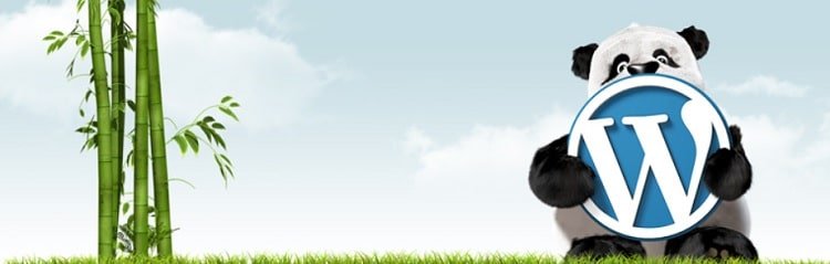 6 Plugins To Improve Your WordPress Performance 6 Plugins To Improve Your WordPress Performance