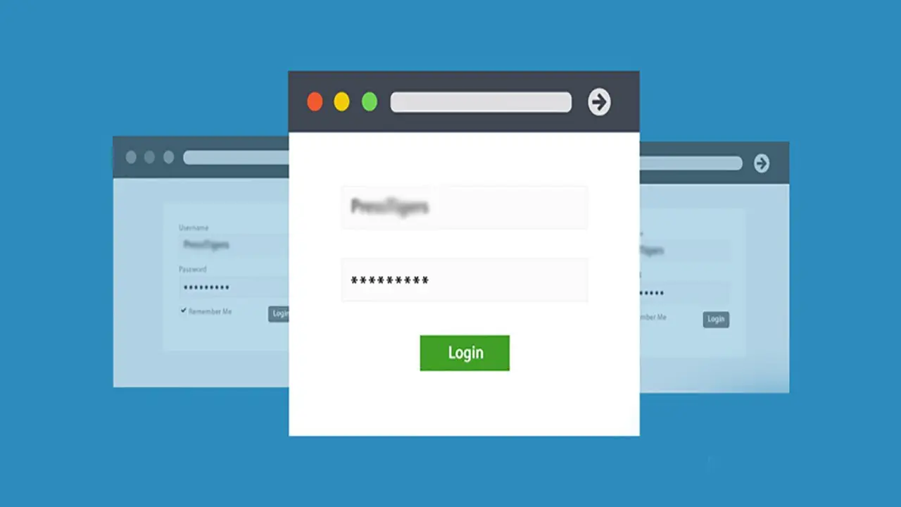 Custom WordPress Login