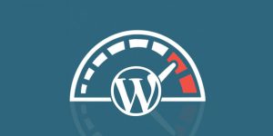 Optimizing WordPress Website