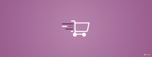 Slowing Down Your WooCommerce Site