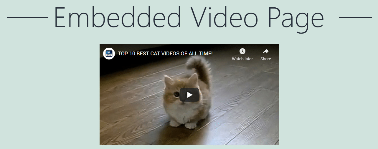 Lazy Load Video on WordPress Lazy Load Video on WordPress