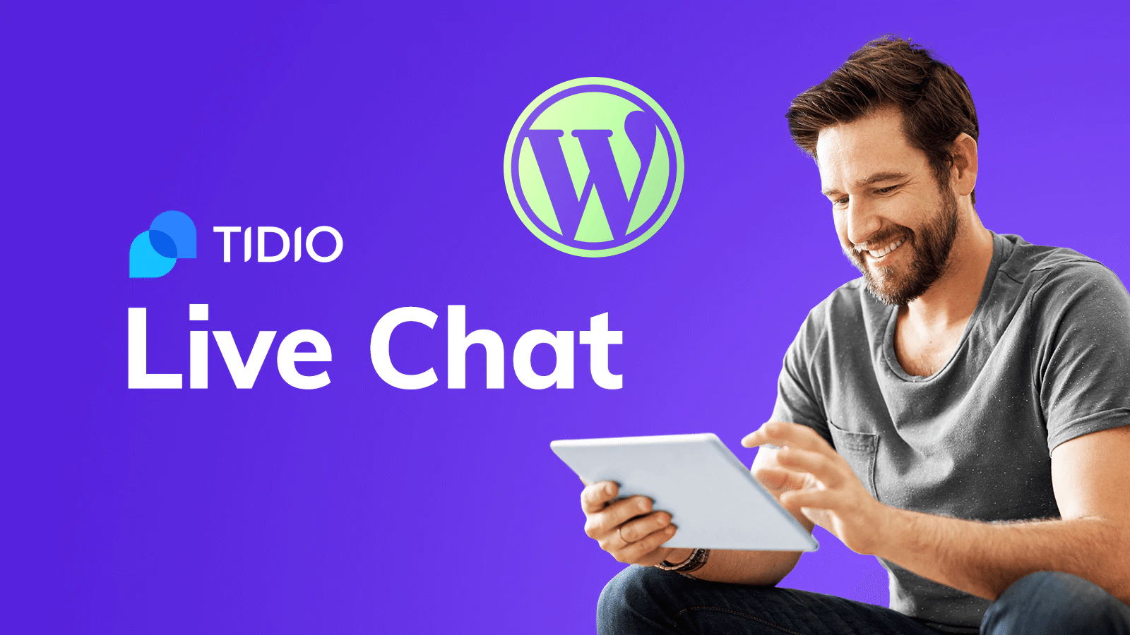 Tidio Chat API WordPress