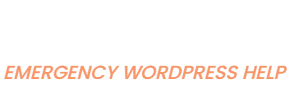Black Friday Super Sale WordPress Emergency Help 2