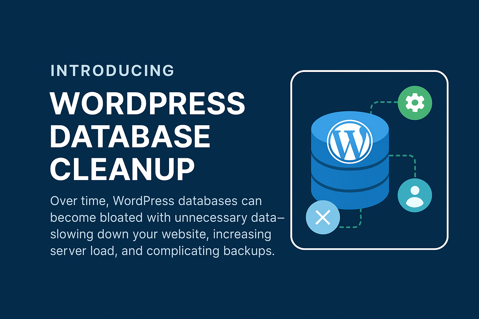 WordPress Database Cleanup Service 1