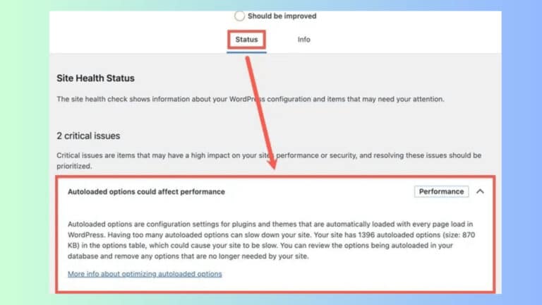 Introducing Our WordPress Database Cleanup Service 1 site health performance issue caused by autoload options wordpress wp fix it