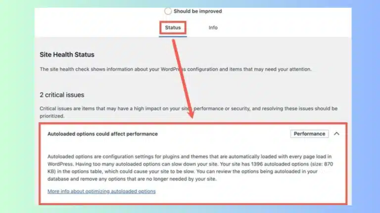 site health performance issue caused by autoload options wordpress wp fix it